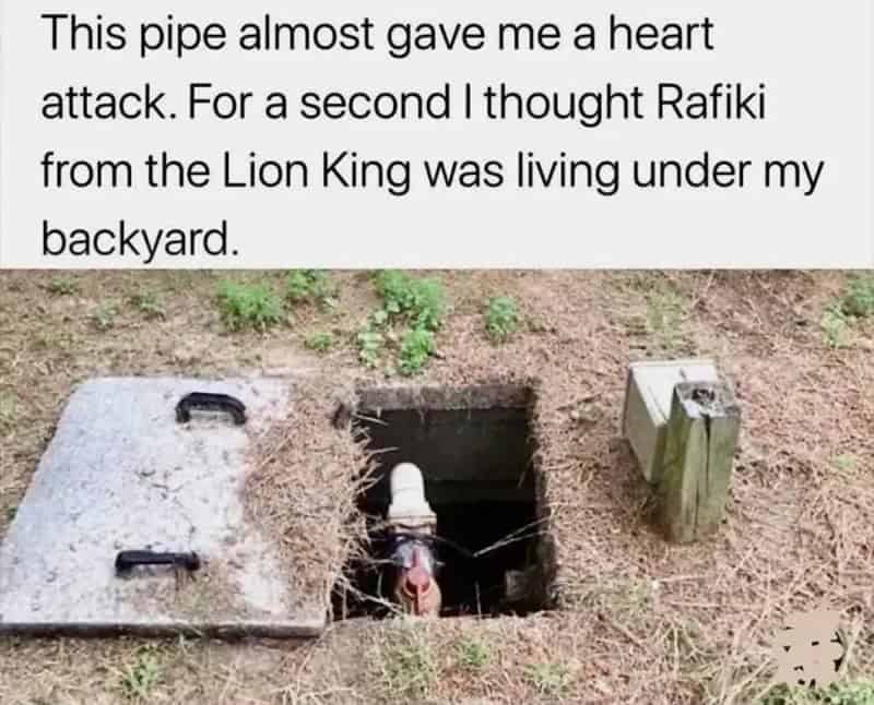 Pipe opening looks like Rafiki from Lion King, with text about it almost giving a heart attack.