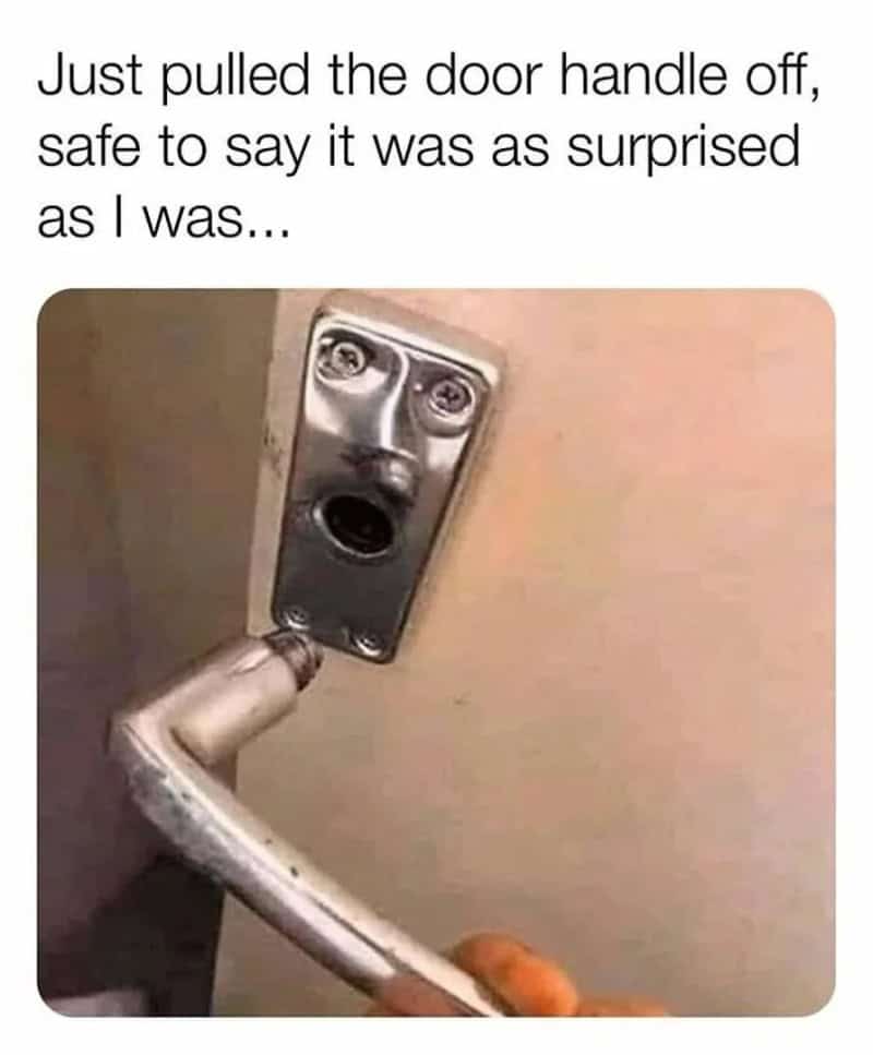 Door handle with a face-like appearance, as if surprised.