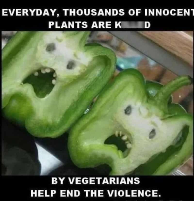 Green bell peppers with faces, caption about innocent plants and vegetarian help.