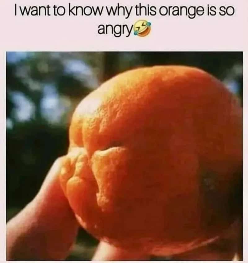 Orange with a face-like pattern, held in hand, with humorous caption.
