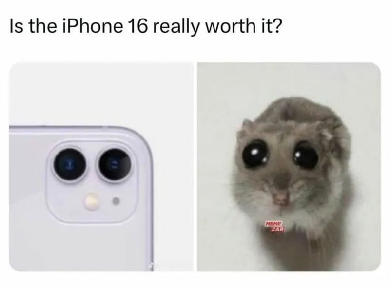 Comparison of iPhone 16 camera and a hamster with big eyes.