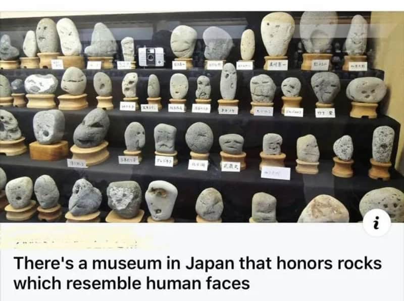Collection of rocks resembling human faces in a Japanese museum display.