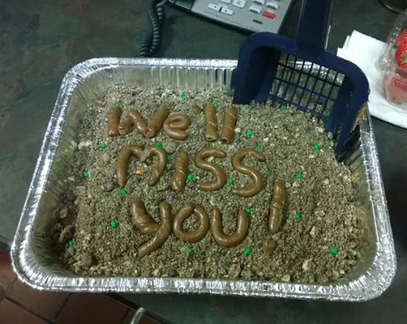 Cake with message 'We Miss You!' written in chocolate on dirt-like surface.