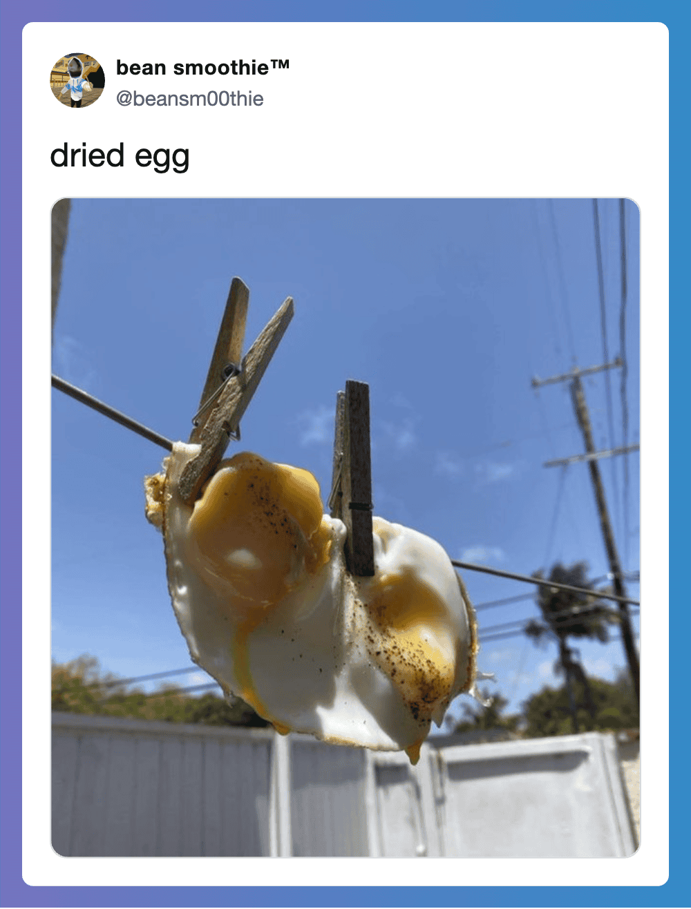 Dried eggs hanging on a clothesline with clothespins, sunny sky background.