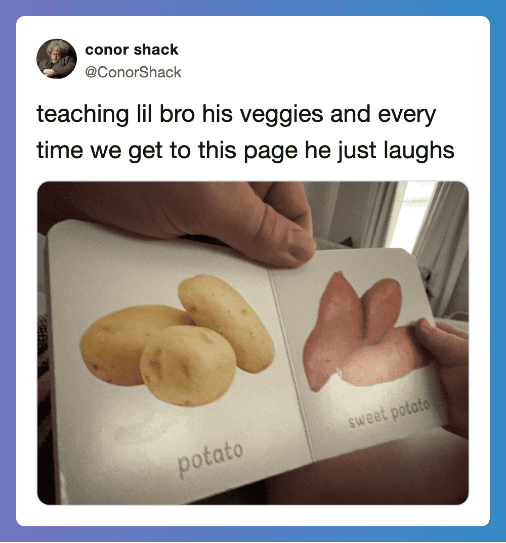 Photo of a children's book showing potatoes and sweet potatoes with labels.