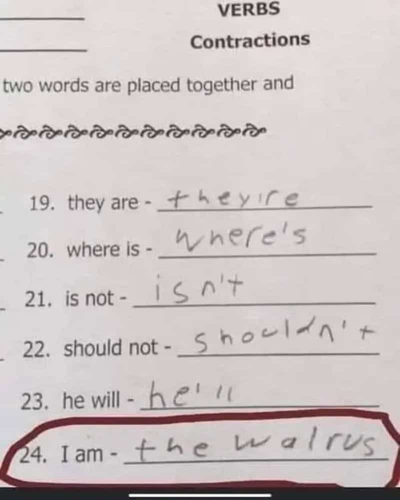 A worksheet with verb contractions, showing a child's answer: 'I am - the walrus'.