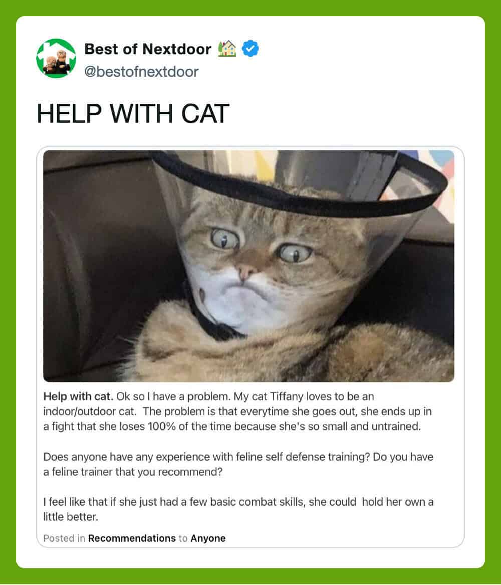 Help with cat. My cat Tiffany loves to be an indoor/outdoor cat.