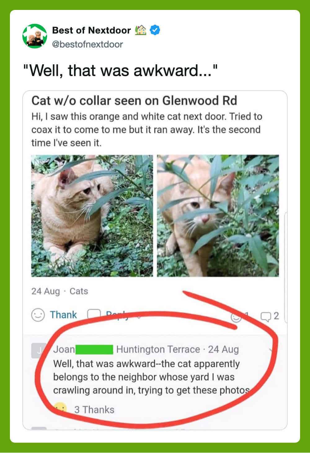 Cat without collar seen on Glenwood Rd, hiding in bushes.