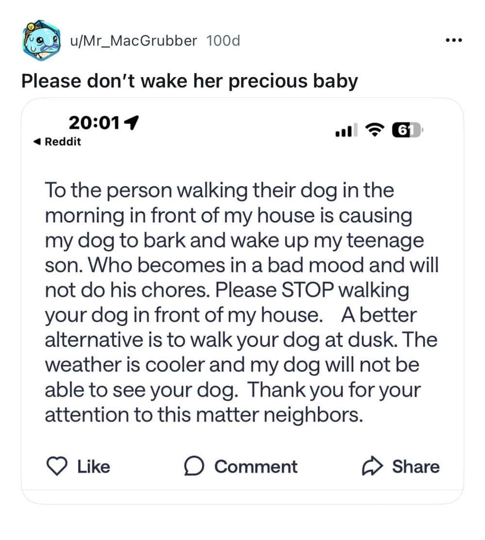 Please don't wake her precious baby. A person walking their dog in front of a house causes a dog toB.