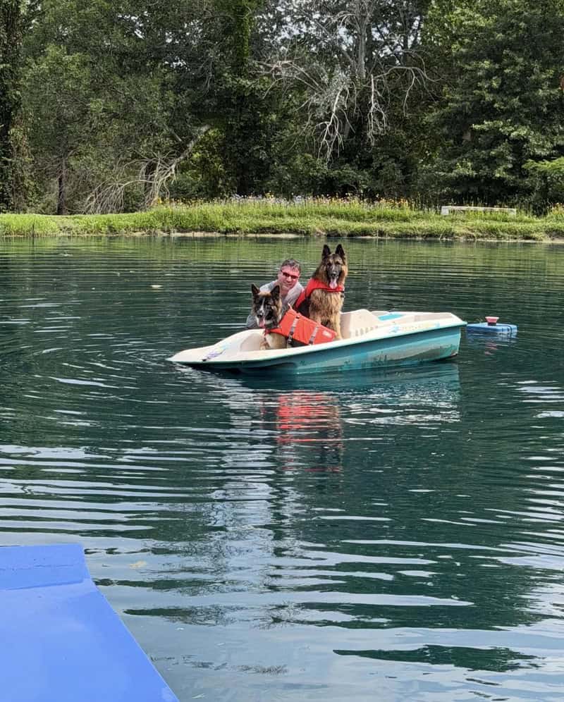 Two dogs in life jackets on a boat with a man on a lake, trees in background.
