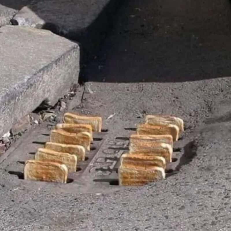 Stacked slices of bread on a street drain cover, resembling a breakfast meal.