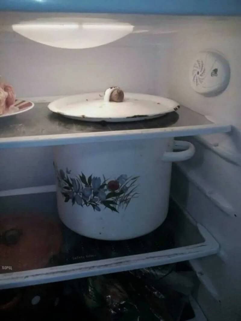 A small cake on a plate inside a refrigerator, with a pot below and a fan on the wall.