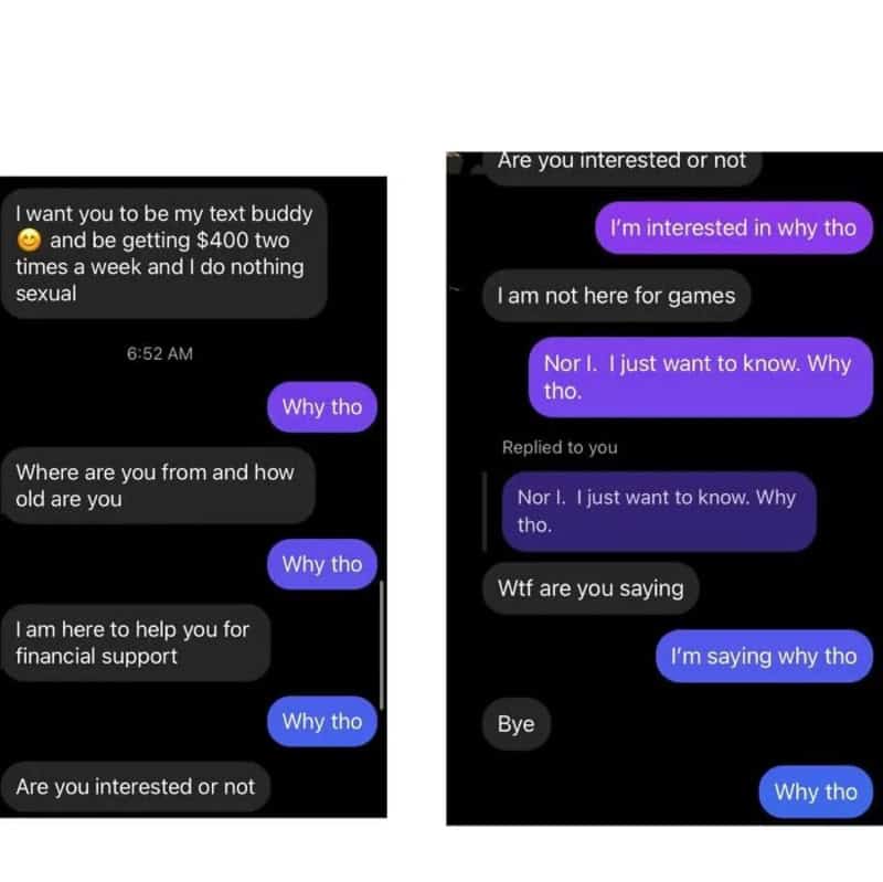 Screenshot of a scam message conversation offering money in exchange for personal details.