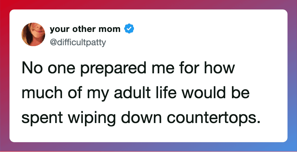 No one prepared me for how much of my adult life would be spent wiping down countertops.
