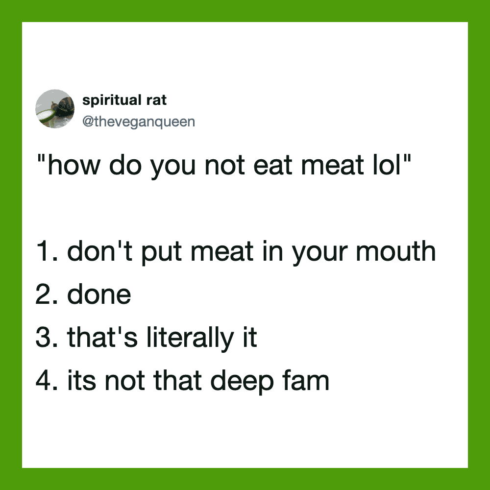 Quote about not eating meat with humorous reasons listed.