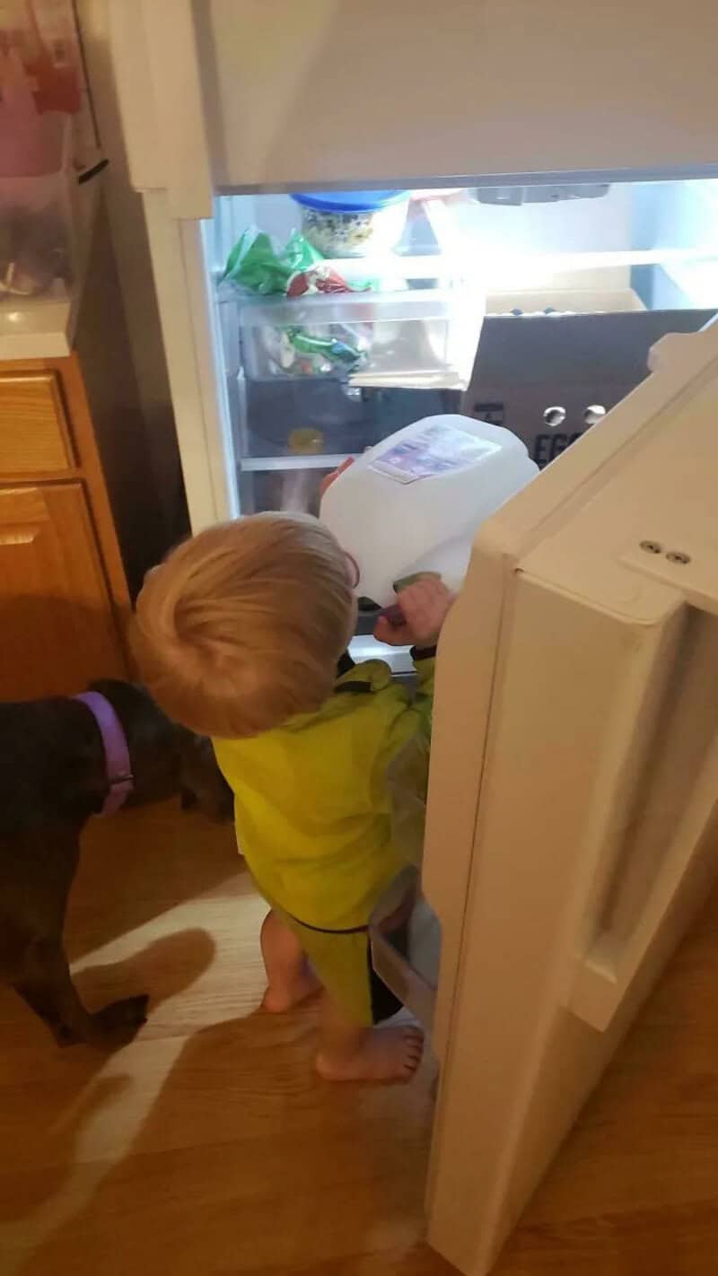 Child with blonde hair opening the fridge, with a dog nearby, in a kitchen.