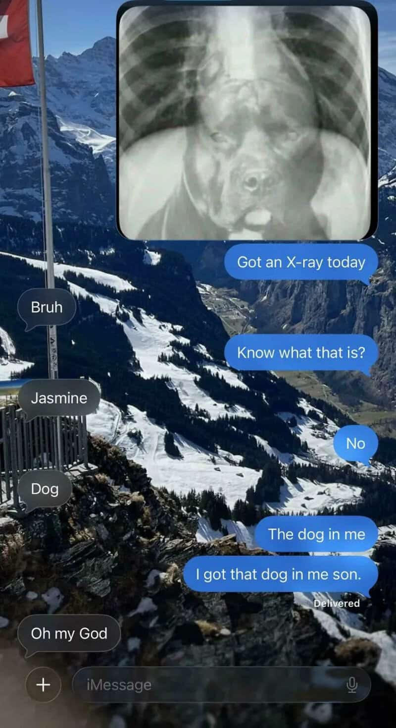 A mountain landscape with a chat overlay about a dog and X-ray.