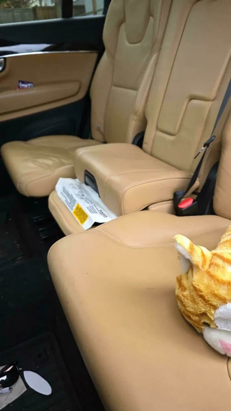 Car back seat with a paper bag and a cat's head visible.