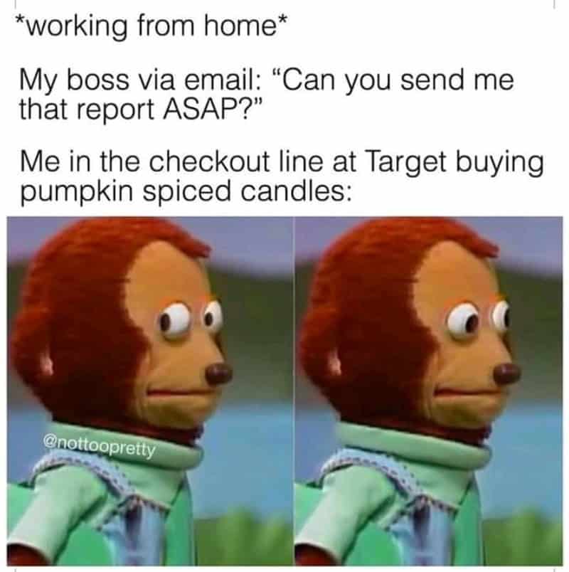 Funny meme of a puppet with wide eyes at checkout line, about working from home.