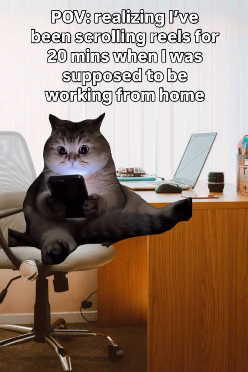 Cat with human body holding a phone, in a home office setting.