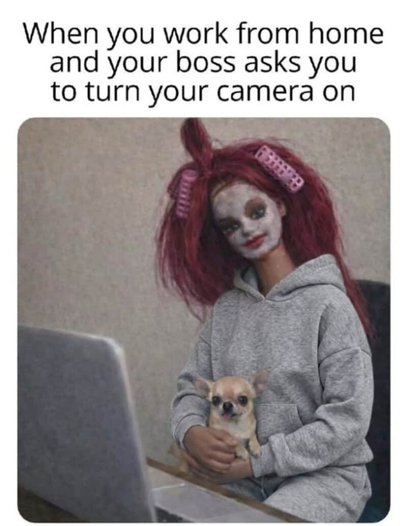 When you work from home and your boss asks you to turn your camera on.
