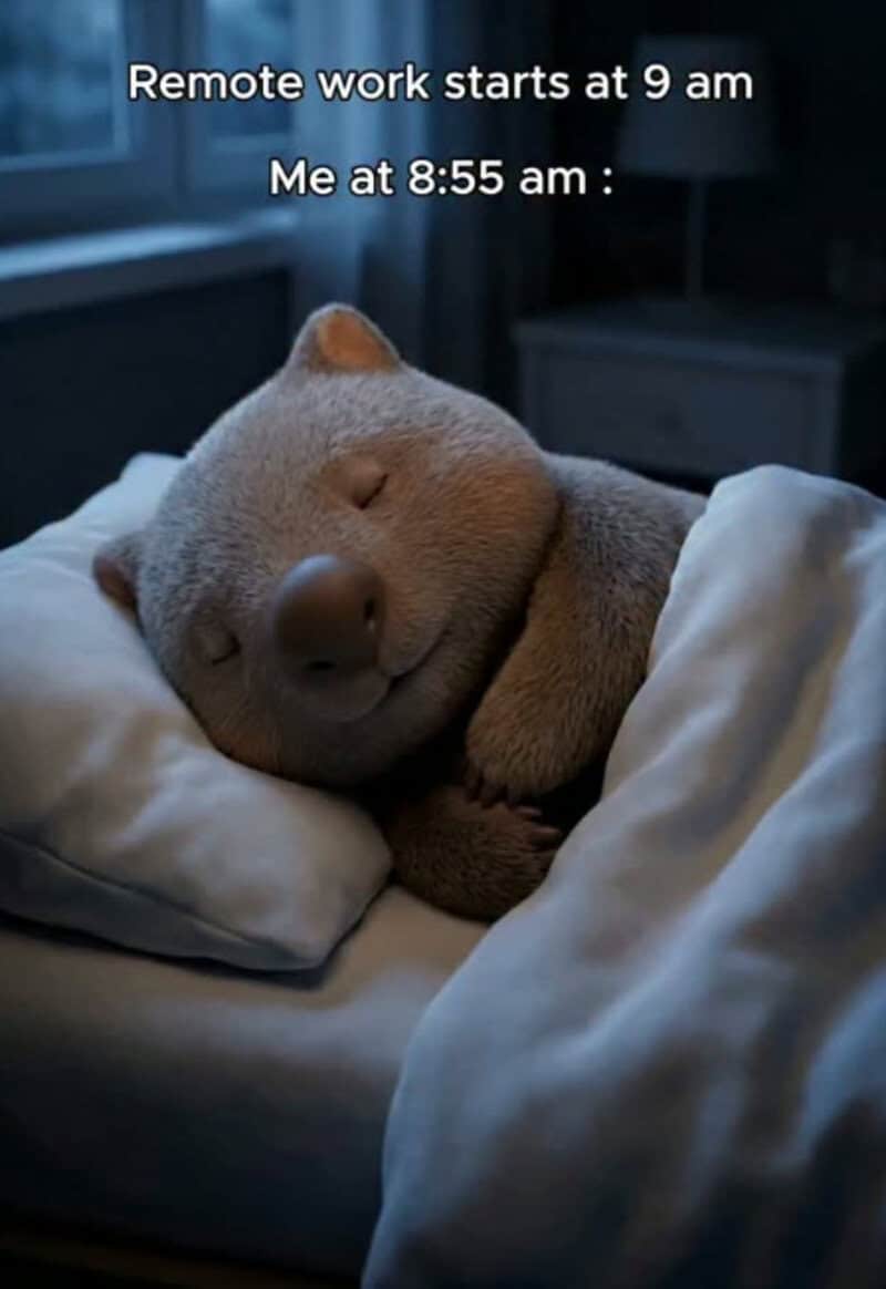 Cute sleeping dog with text about remote work start time and wake-up time.