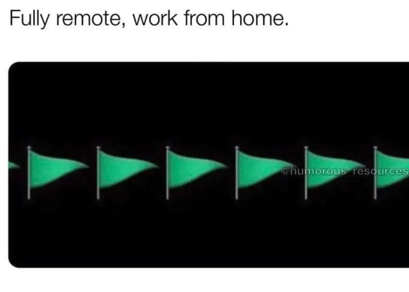 Work from home meme with green flags and the text 'Fully remote, work from home.'.