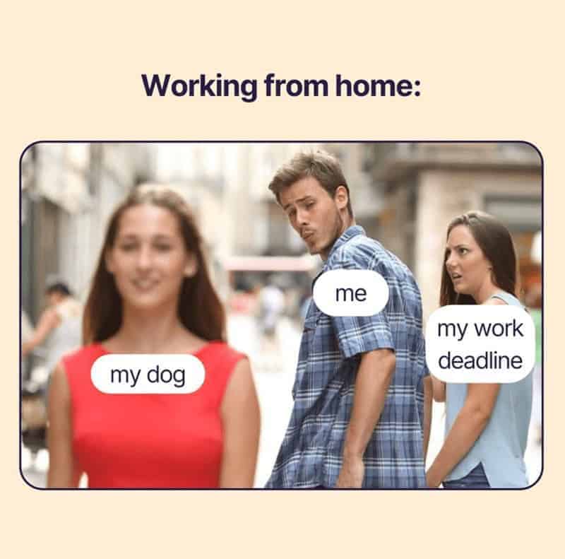 Memes about working from home with labels 'me', 'my work deadline', and 'my dog' on blurred people.
