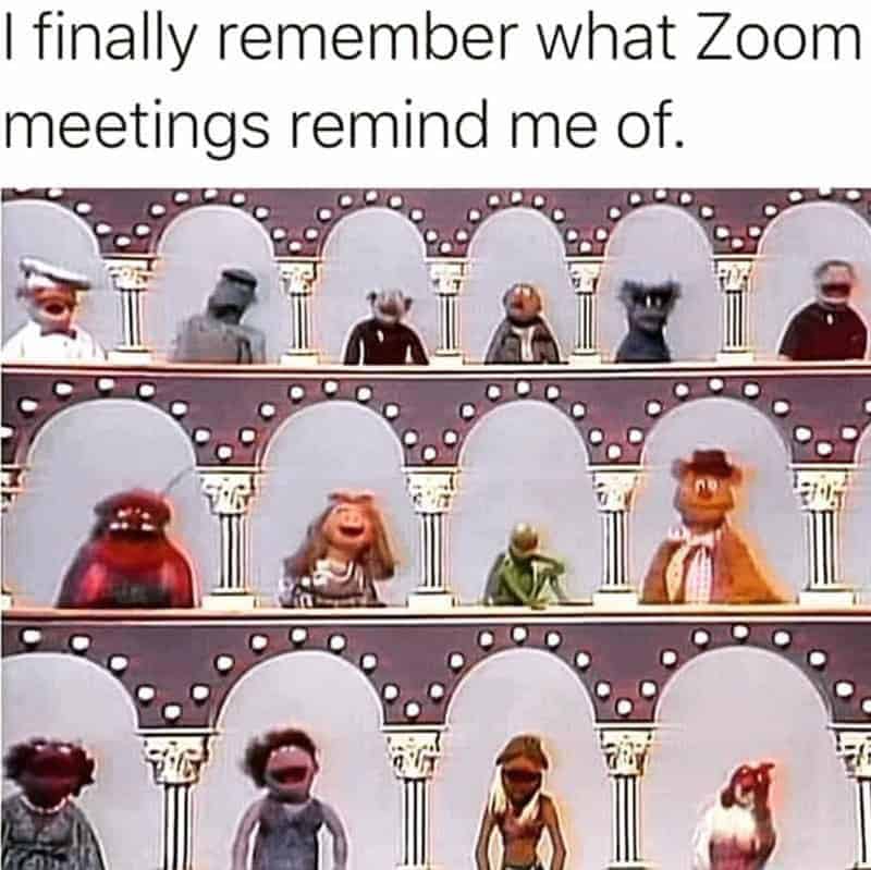 Muppets characters with masks on, with text about Zoom meetings.