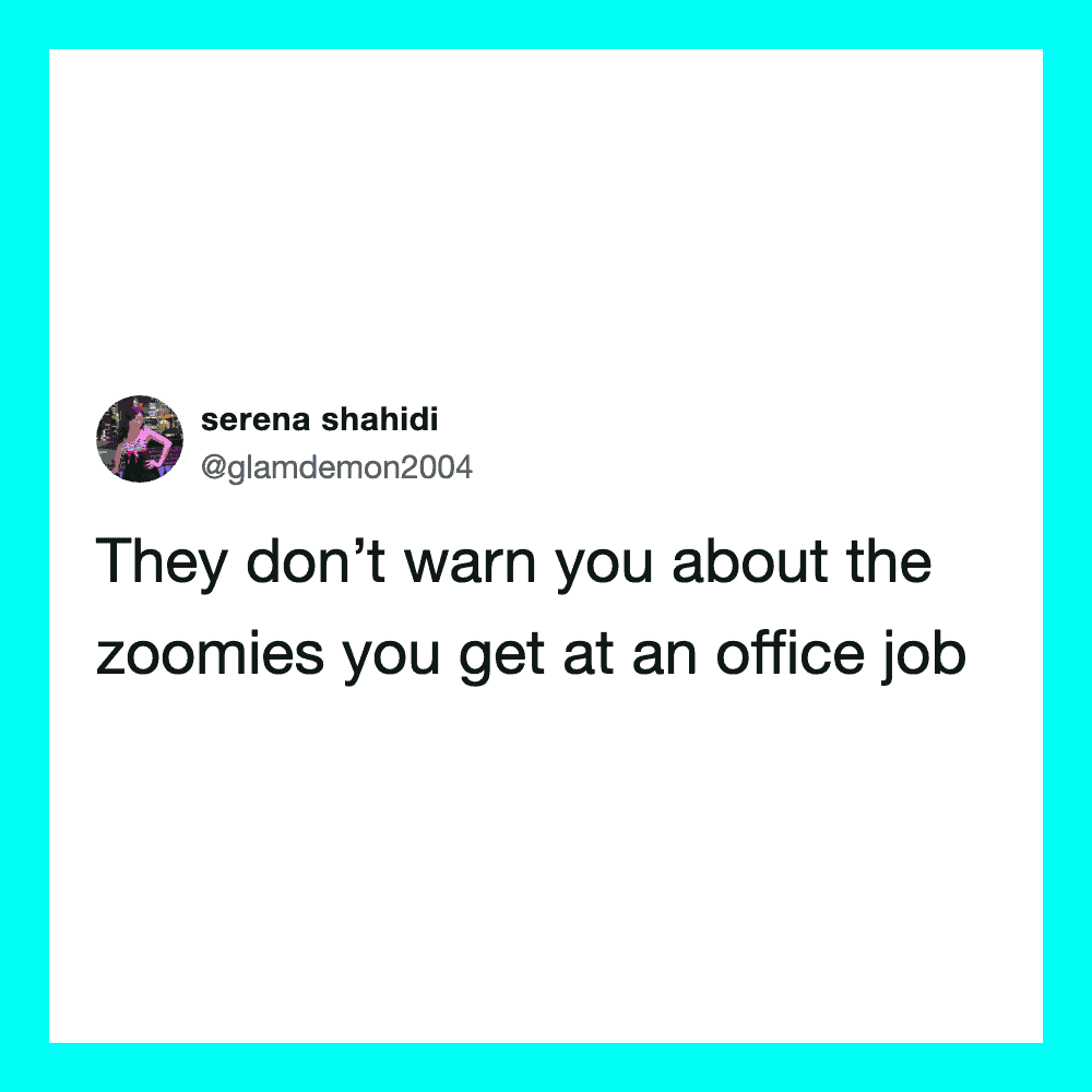 They don't warn you about the zoomies you get at an office job.