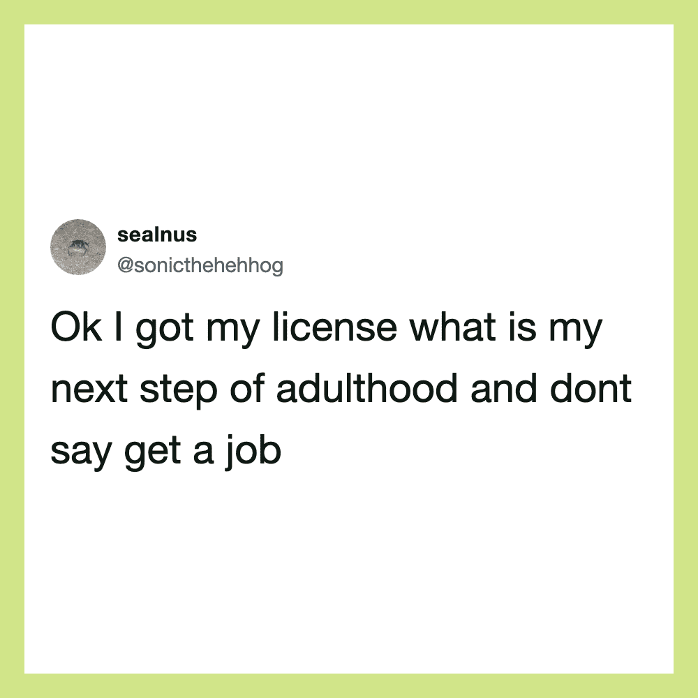 Twitter post by sealnus about license and job advice.