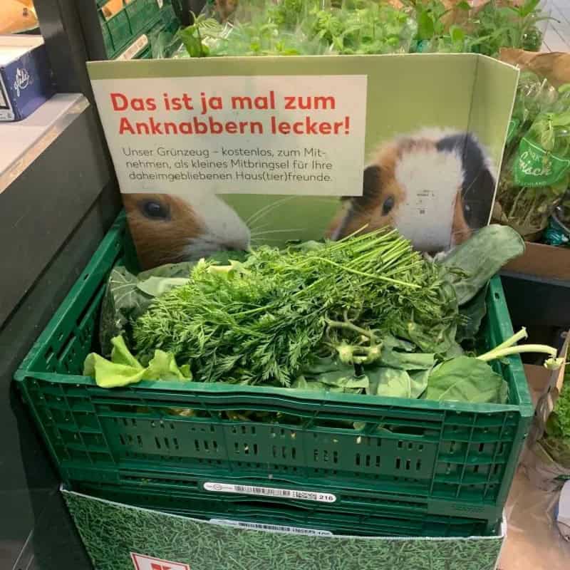 Green crate filled with fresh herbs and a sign with dog images and German text.