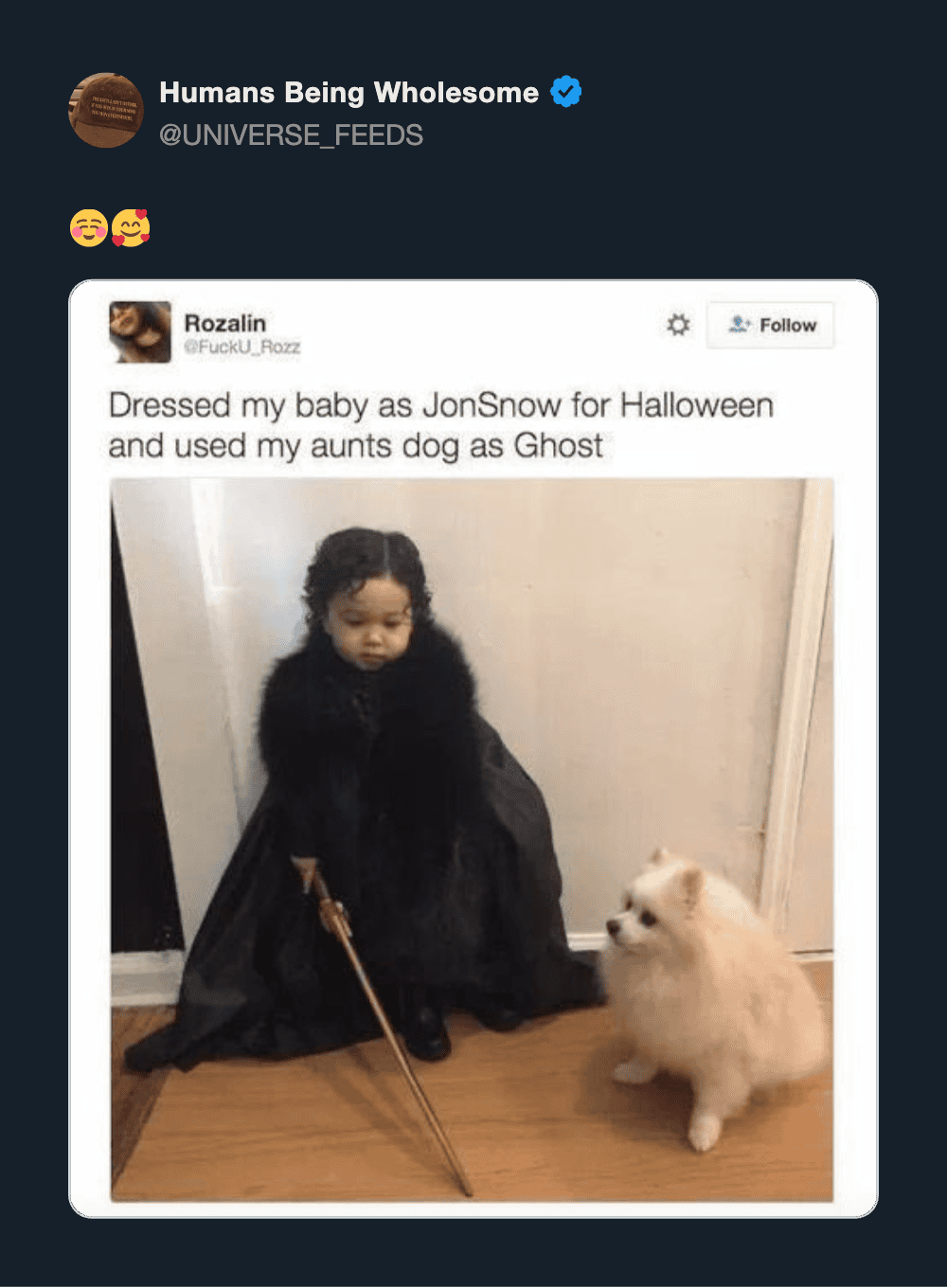 Child dressed as Jon Snow with a dog as a ghost for Halloween.