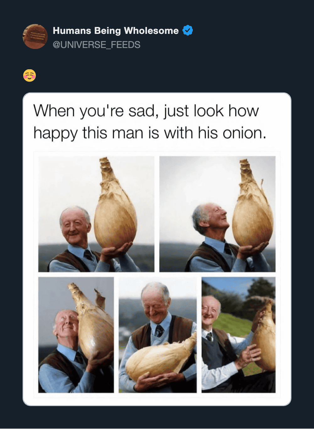 Man smiling with his onion in various poses, showing happiness.