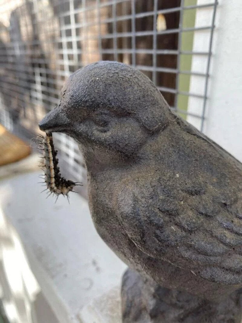 Stone bird sculpture with a caterpillar on its beak, in front of a wire fence.