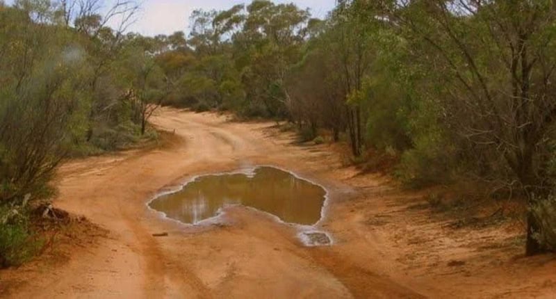 A dirt road with a small puddle reflecting the sky and trees.