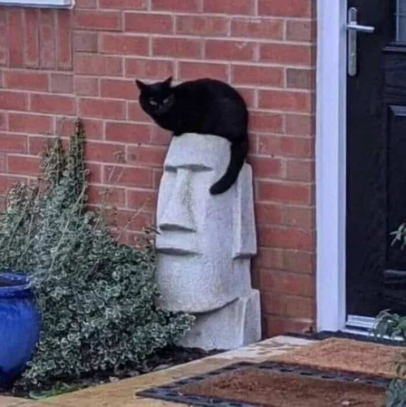Black cat resting on a stone sculpture of a face outside a brick house.