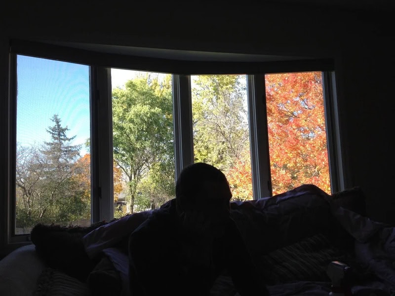 Silhouette of a person sitting on a bed in front of a large window with autumn trees outside.