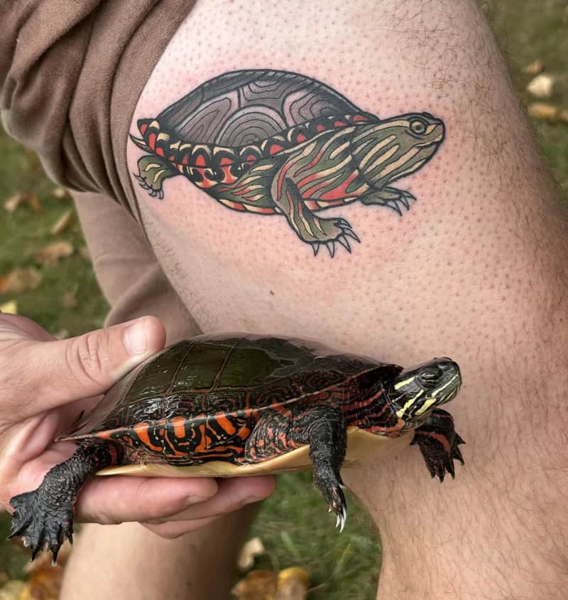 Tattoo of a frog on a person's thigh with a real turtle nearby.
