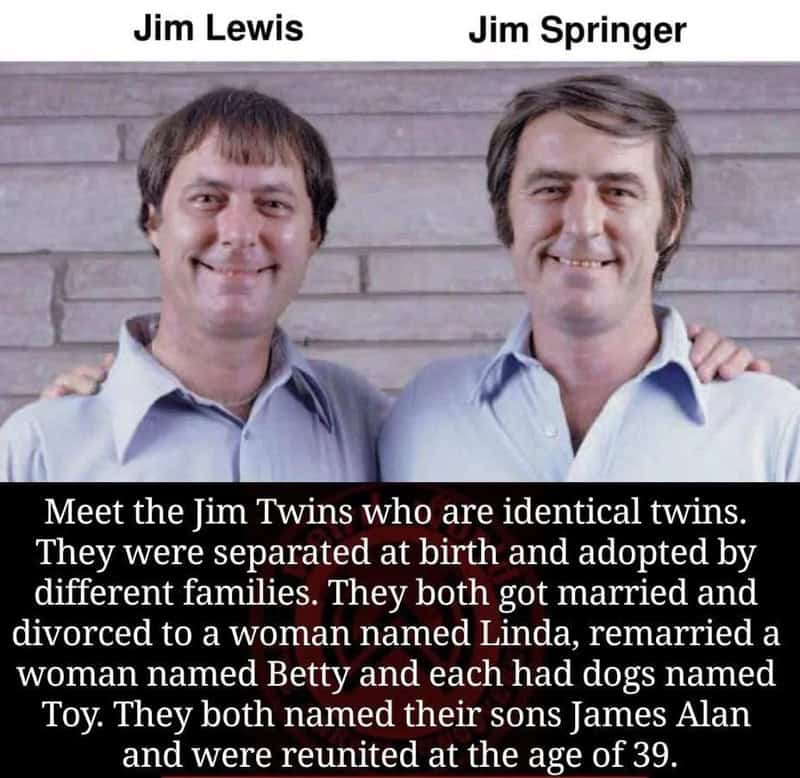 Jim Lewis and Jim Springer, identical twins separated at birth, reunited at age 39.