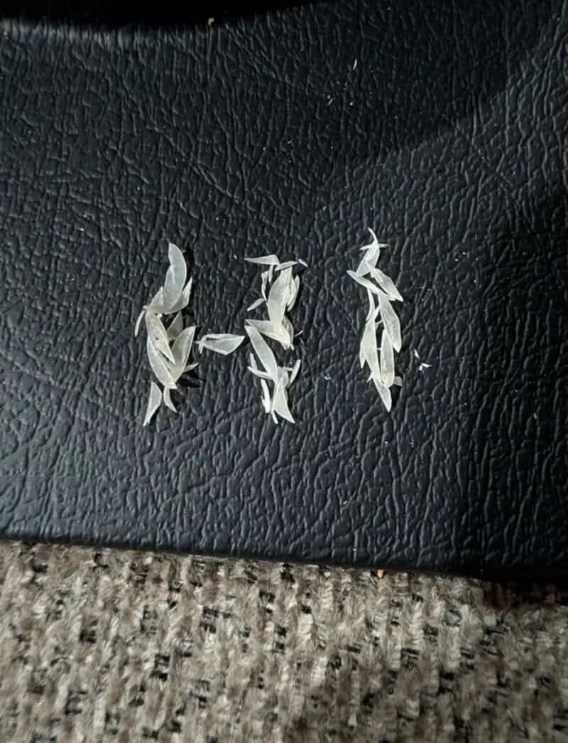 Small fish-shaped paper cutouts on a black textured surface.