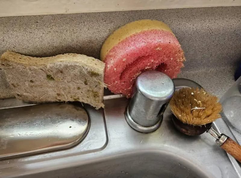 Sponge, scrub brush, and soap on kitchen sink edge.