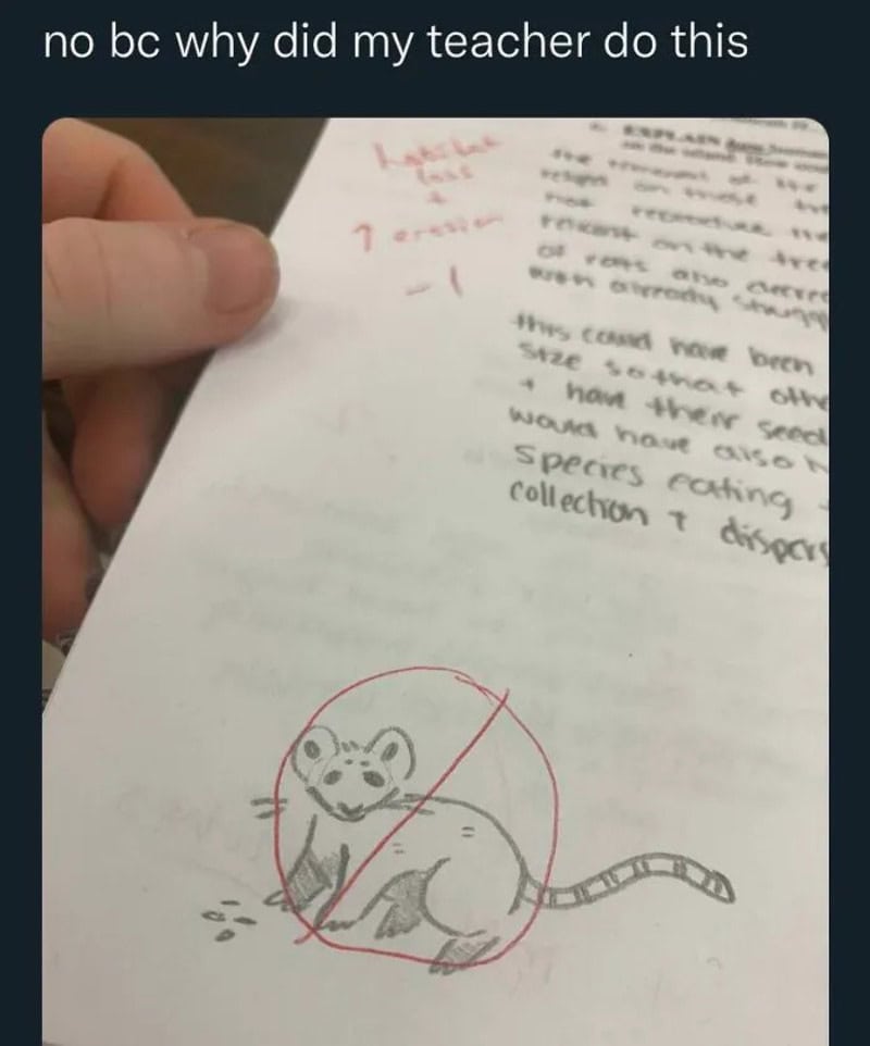 Hand holding paper with a drawing of a mouse crossed out in red.