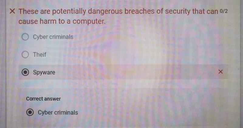 Multiple choice question about security breaches with 'Spyware' selected and 'Cyber criminals' as a.