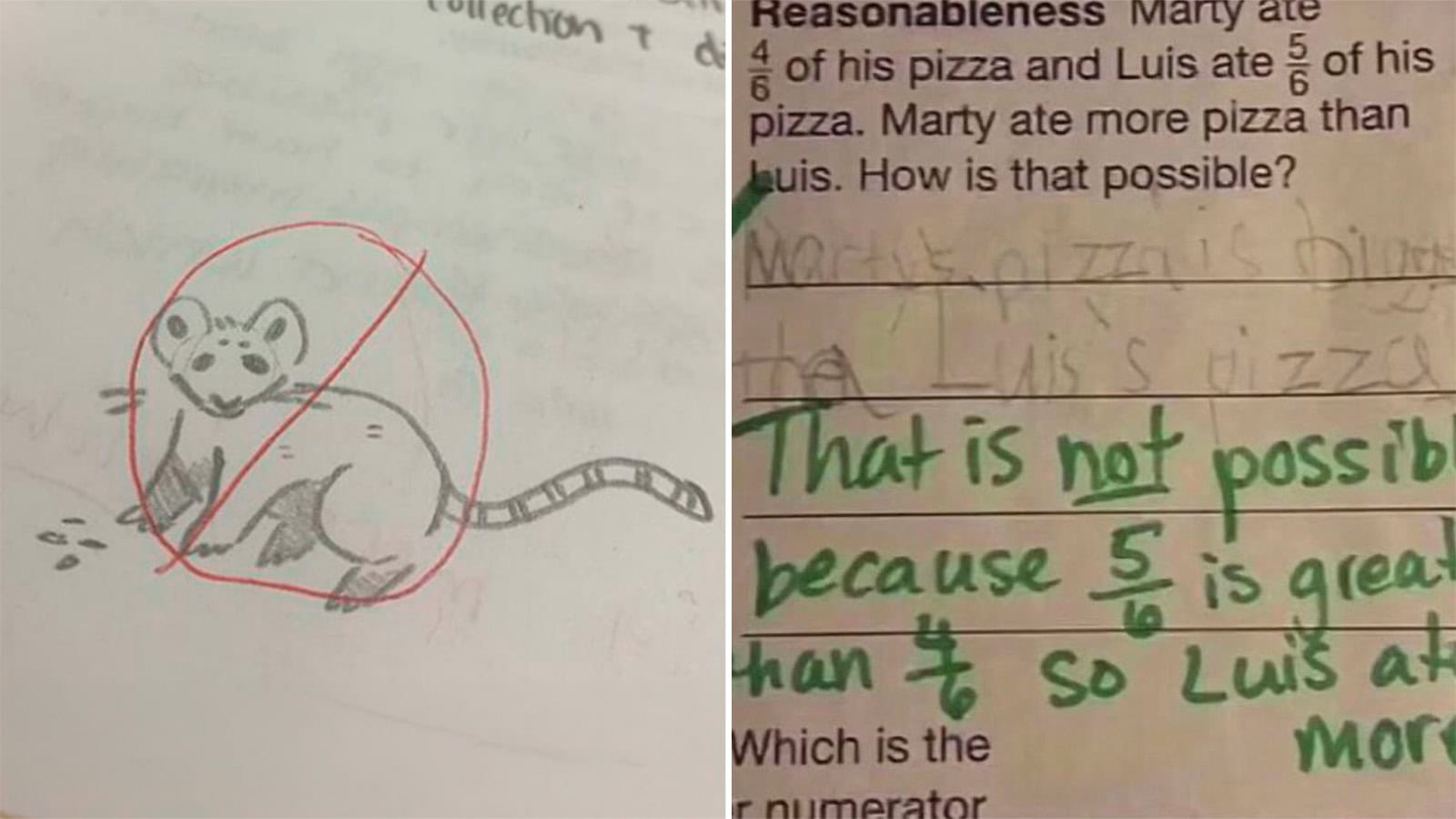 Drawing of a rat with a red circle and line crossing it out.