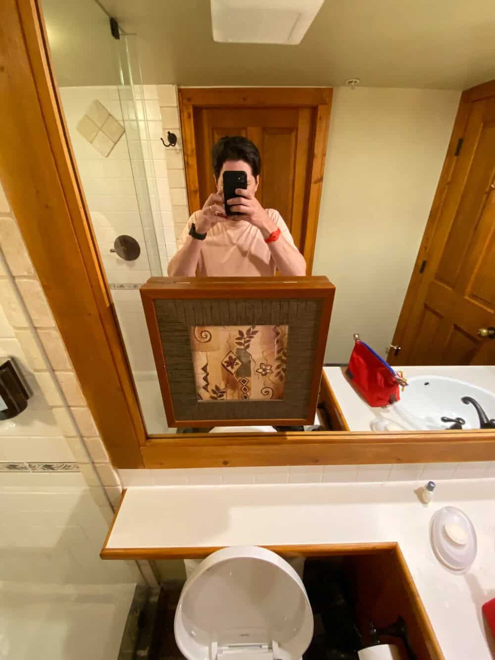 Person taking a mirror selfie in a bathroom with wooden doors and a framed picture.