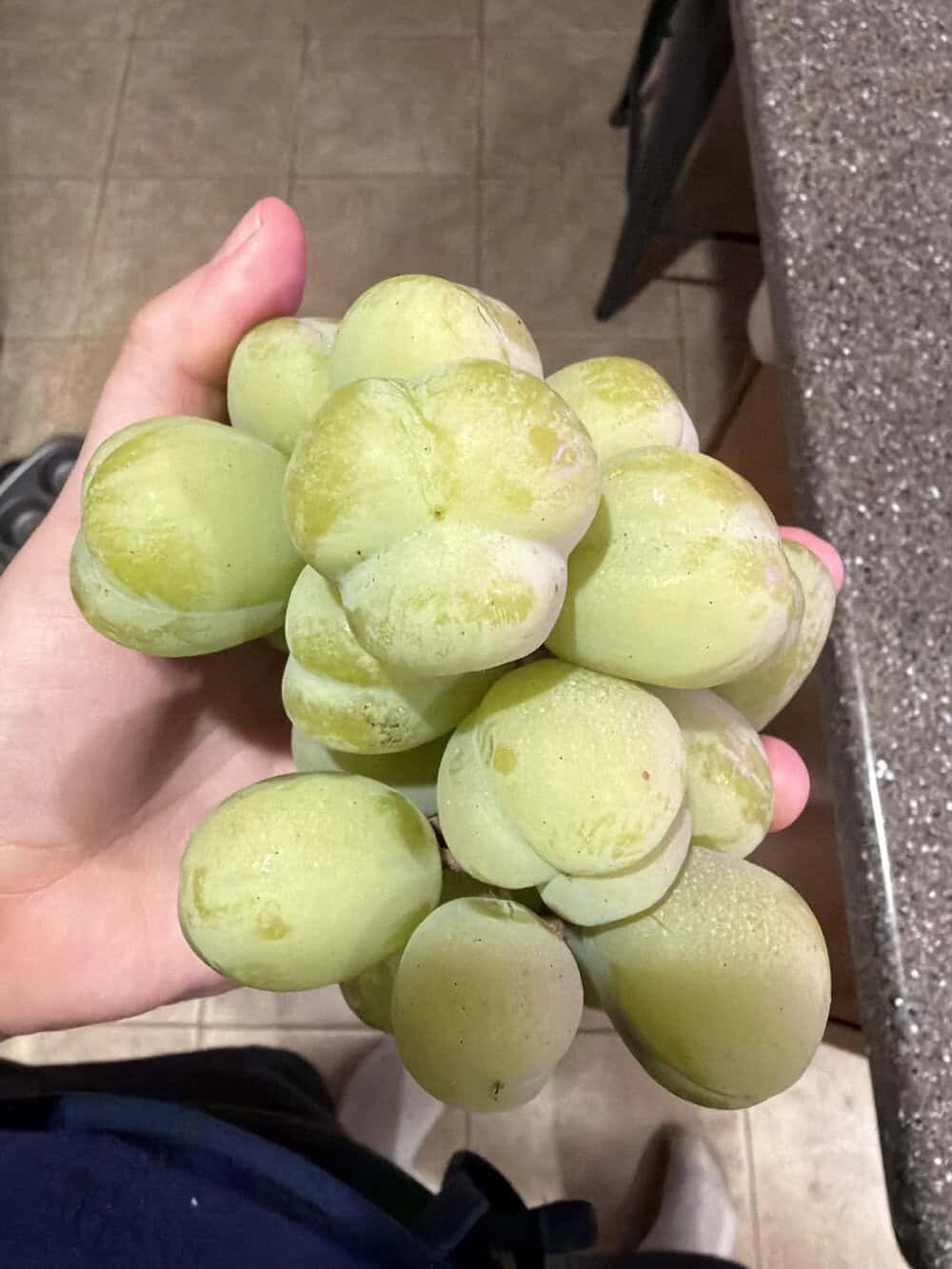 Hand holding a bunch of green grapes in a kitchen setting.