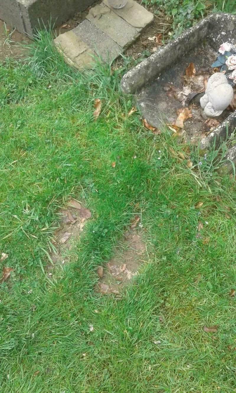 Footprint in the grass near a garden bed with stones and a statue.