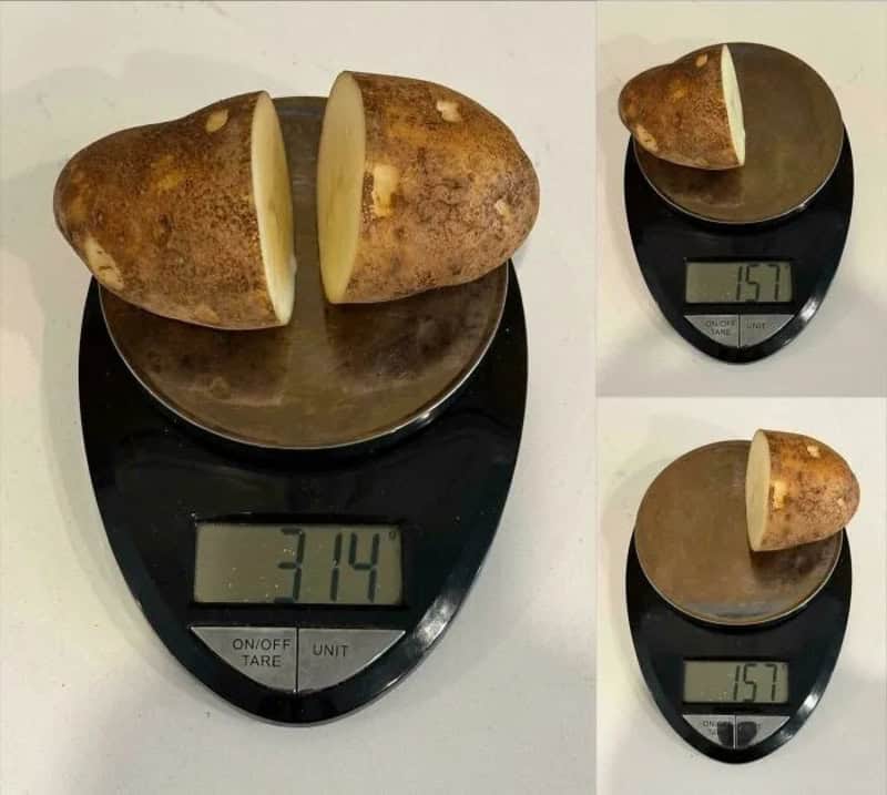 Potato on digital scale showing 3.14 ounces, sliced to reveal interior.