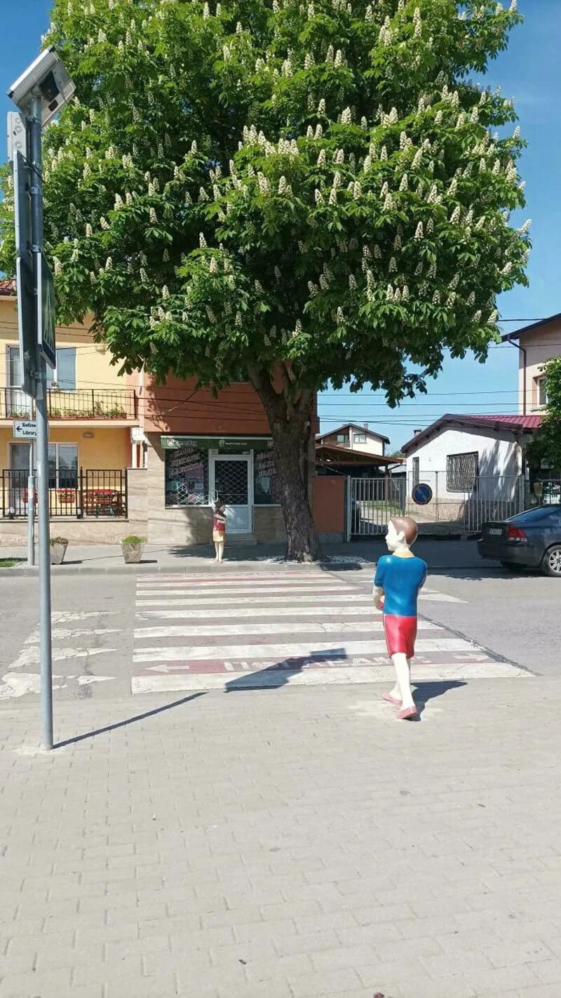 Child crossing street under a large flowering tree in a residential area.